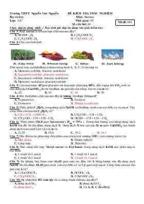 Đề kiểm tra trắc nghiệm môn Hoá học thời gian 45 phút trường THPT Nguyễn Văn Nguyễn